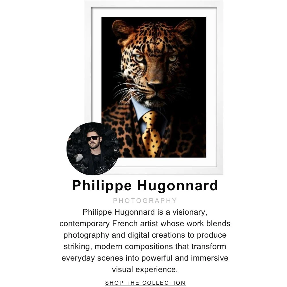 Hero 1 Shop Philippe Hugonnard